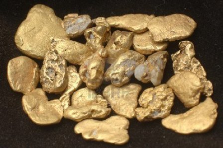 14921261-collection-of-small-gold-nuggets-from-grey-river-gold-dredge-west-coast-south-island-new-zealand.jpg